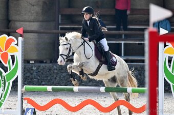 Výjimečný pony valach kat. A, 7let - 9
