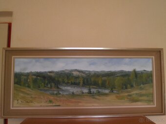 Obraz horského jezera + další obrazy - 9