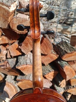 Housle Prokop očkový javor - 9