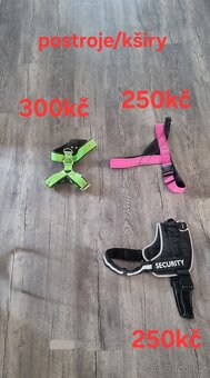 Obojky ,postroje, ručky... - 9