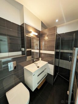 Pronájem bytu 2+kk, U Průhonu 927/20, Praha 7 - Holešovice - 9