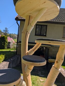 Kočičí strom / škrabadlo - 9