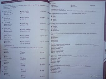 Testy příprava na střední školy - 9