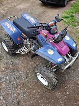 Yamaha Warrior 350 - 9