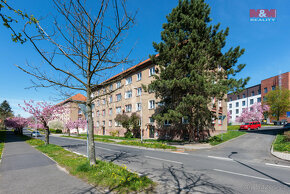 Prodej bytu 2+1, 53 m², Sokolov, ul. Hornická - 9