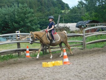 pony klisna - 9