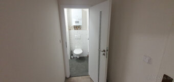 Pronájem 1+1, Krupka - Bohosudov - 9