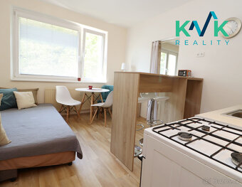 Prodej světlého bytu 1+1 po rekonstrukci – kompletně vybaven - 9