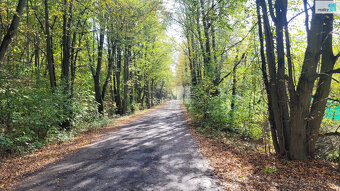 Prodej komerčního stavebního pozemku 7227m2 na okraji jezera - 9