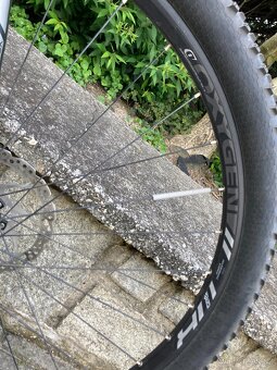 Stevens Devil´s trail 29" - 9