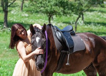 Pronájem valacha - 9