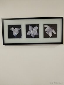 Dekorace- album - 9