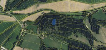 Prodám lesní pozemek v k.ú. Pěčíkov - 9