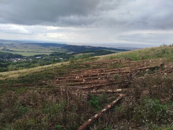 Lesnické práce - 9