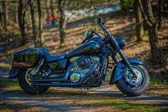 Kawasaki Vn 1600 - 9