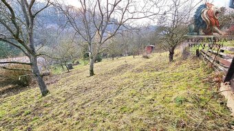 Zahrada 415 m2 v Brně v Bystrci. - 9