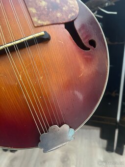 Masivní Americká Mandoliná Kay - 9
