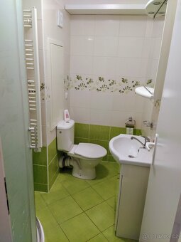 Pronájem bytu 1+1 Znojmo - 9