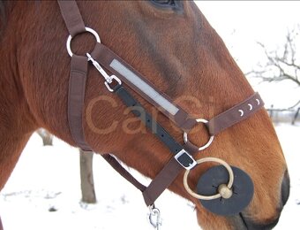 Prodám věci na koně - 9