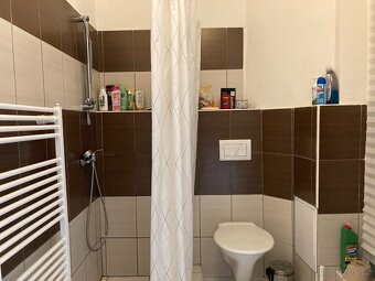 Pronájem bytu 2+kk 55m2 se zahradou - 9