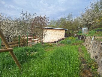 Prodej zahrady v centru města Ústí nad Labem - 9