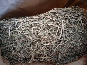 Kotvičník zemní včetně semínek, Celý 5 kg pytel - 9