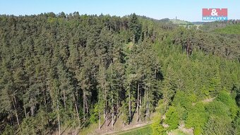Prodej lesa, 23184 m², Milešov - 9