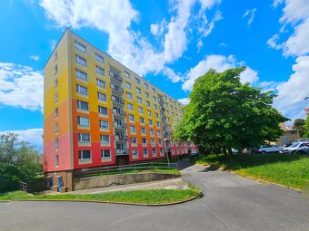 Pronájem bytu, 1+1, DV, 36m - 9