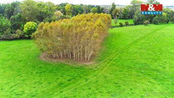 Prodej lesa, 1461 m², Skřivany - 9