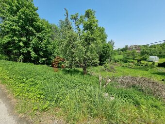 Prodej stavebního pozemku 2978 m2 Písečná - Studený zejf, ok - 9