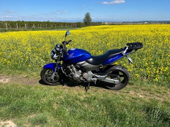 Honda CB600F Hornet - 9