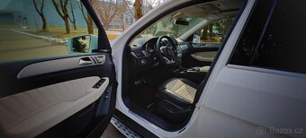 Gle 350,Amg paket .2017 - 9