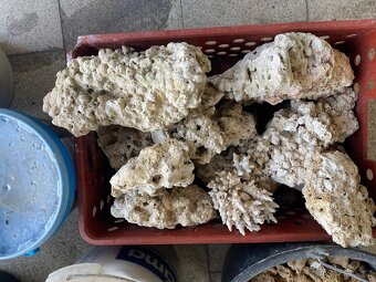 Mořské akvárium - 9