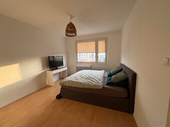 Pronájem bytu 1+1, 40 m2, Pardubice – Dubina. - 9
