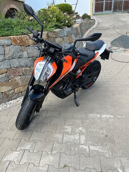 KTM duke 125 abs. 2018 - 9