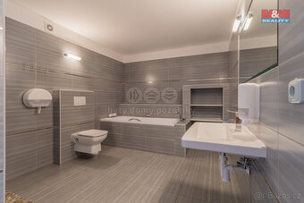 Prodej hotelu, penzionu, 300 m², Malý Ratmírov - 9