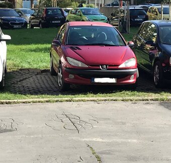 Výměna za něco v naftě. Peugeot 206 1.4i 55kw - 9