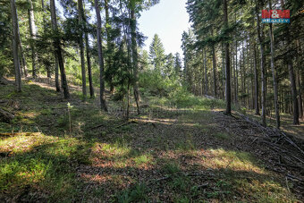 Prodej lesa, 15707 m², Petrovice u Sušice - 9