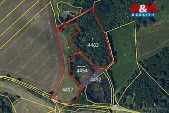 Prodej pozemků s rybníkem ve Velké Losenici - 9