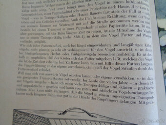 Kniha o chovu ptáků z roku 1954 v němčině - 9