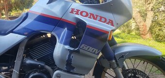 Honda XL600V Transalp - 9