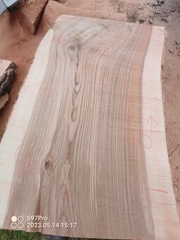 MEGA velké desky Jilm a Jasan - 9