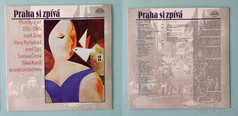 LP desky česká dechovka 14ks + USA dechovka 6ks - 9