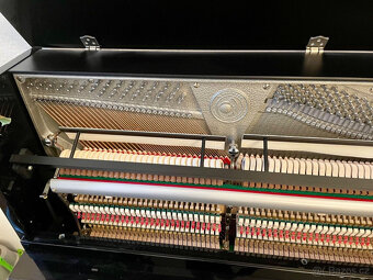 W.Hoffmann Model P126 Piano Mint (2019) Černá, Stříbrné apli - 9