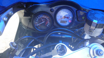 Suzuki TL 1000 S - 9