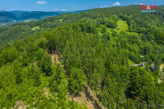 Prodej lesa, 6085 m², Tanvald - 9