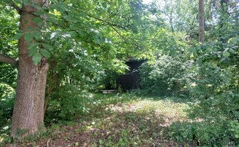 Prodej zahradních pozemků, celkem 5 961 m² , Rajhrad - 9
