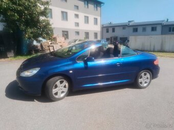 Peugeot 307 cc - 9