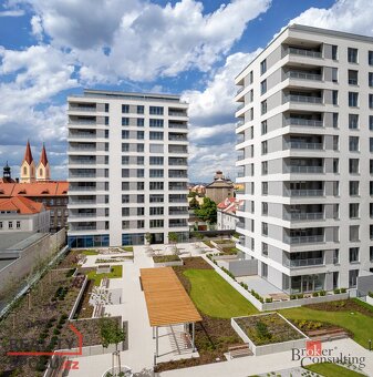 Prodej, byty/1+kk, 30.5 m2, Stehlíkova 3020/7, Jižní Předměs - 9