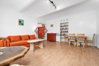 PRODEJ  - penzion Hanka v Orličkách - 9